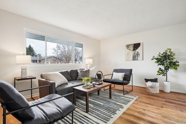 living room featuring light hardwood / wood-style floors