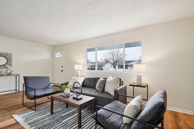 living room with a textured ceiling and hardwood / wood-style flooring