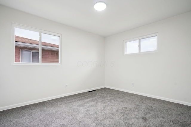 carpeted spare room with a wealth of natural light