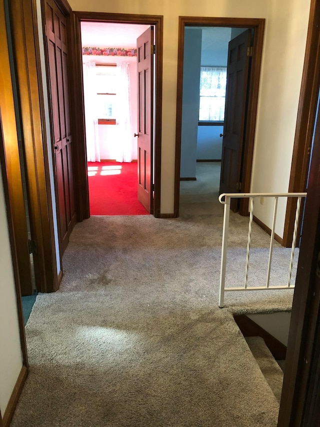 hallway with carpet flooring