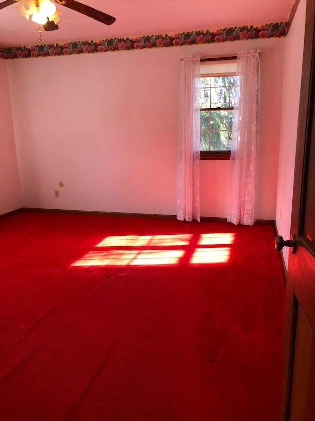 spare room featuring carpet floors and ceiling fan