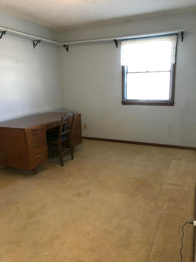 unfurnished office featuring light colored carpet