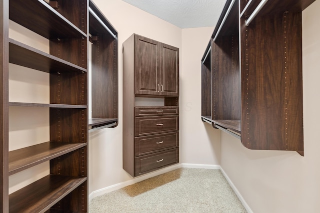 spacious closet with light carpet