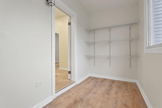 spacious closet featuring light wood-type flooring