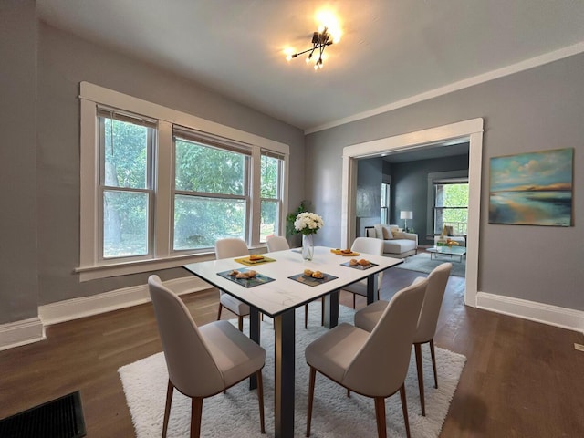 dining space featuring dark wood-type flooring