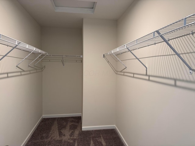 walk in closet featuring carpet and attic access