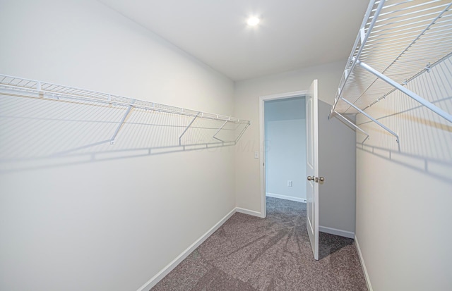 spacious closet with carpet flooring