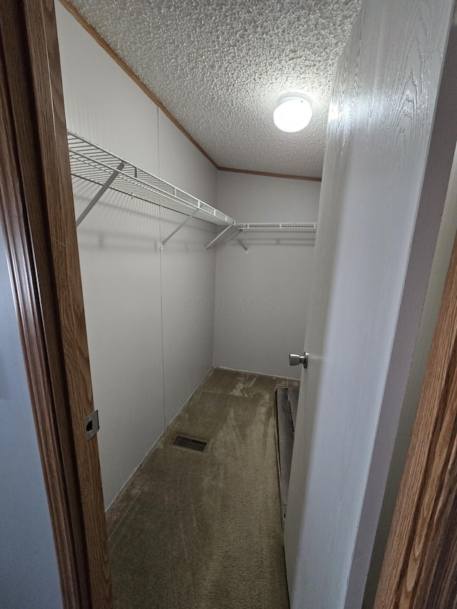 spacious closet featuring carpet flooring