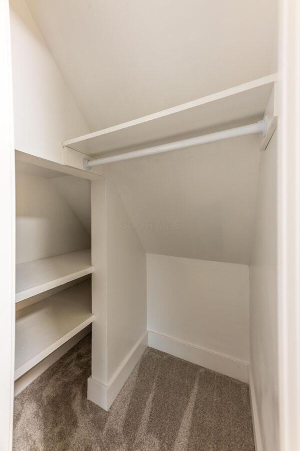 spacious closet with carpet floors and vaulted ceiling