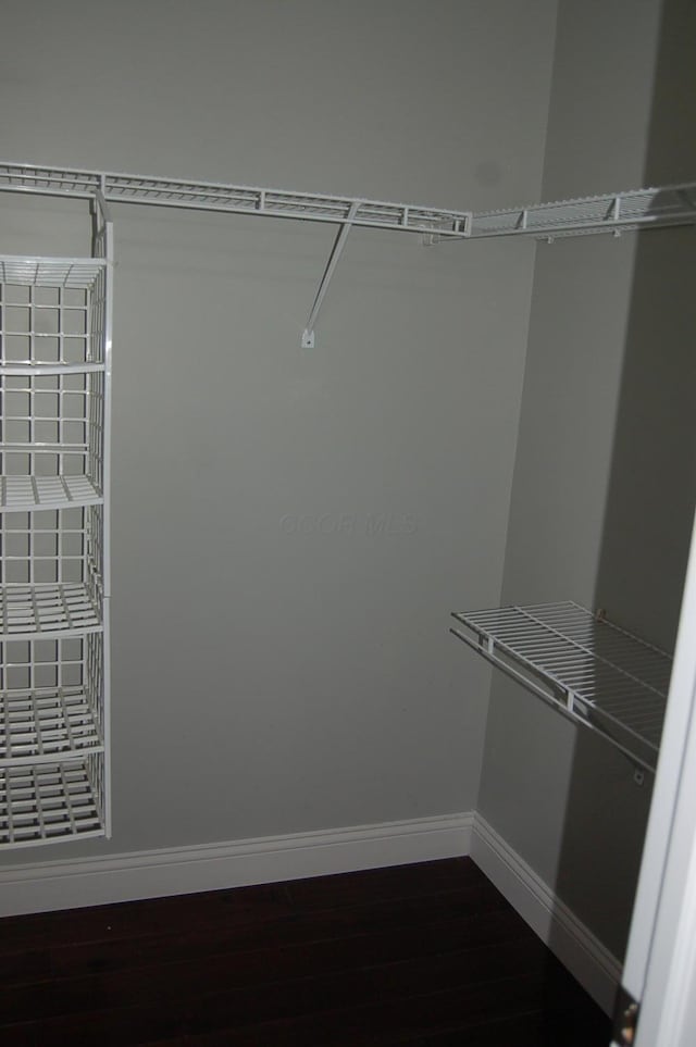 spacious closet with dark wood-type flooring