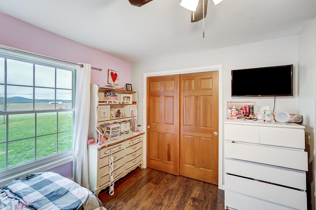 bedroom with ceiling fan, a closet, dark wood-type flooring, and multiple windows