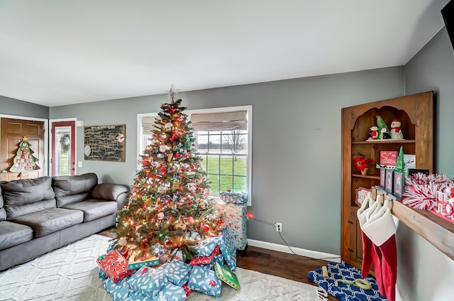 living room with hardwood / wood-style floors