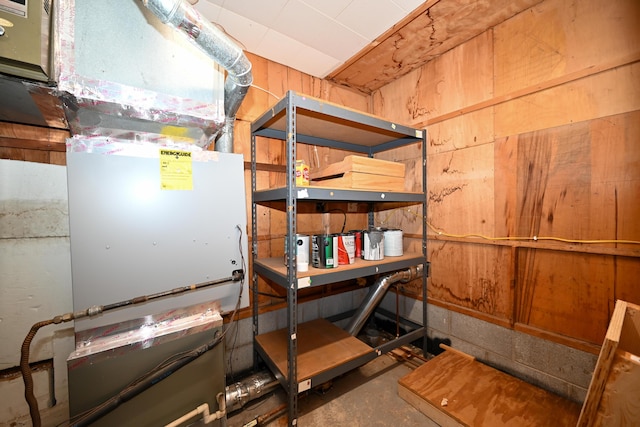 basement with wood walls