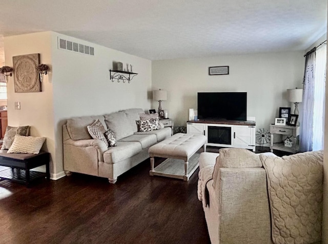 living room featuring wood-type flooring