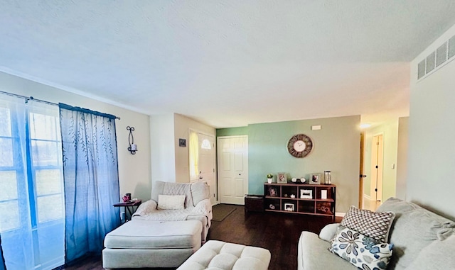 living room featuring dark wood-type flooring