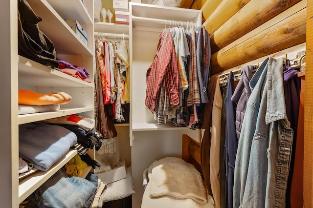 view of walk in closet