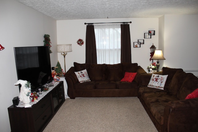 carpeted living room featuring a textured ceiling