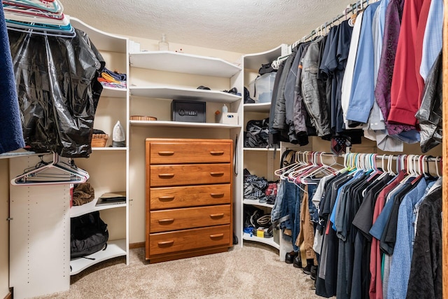 spacious closet featuring light carpet