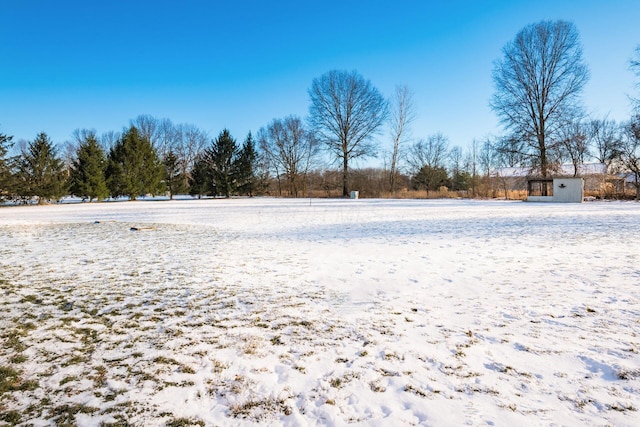 view of yard layered in snow