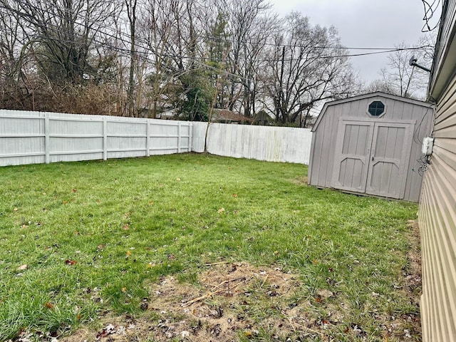 view of yard featuring a shed