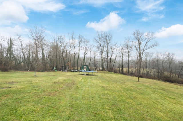 view of yard with a trampoline