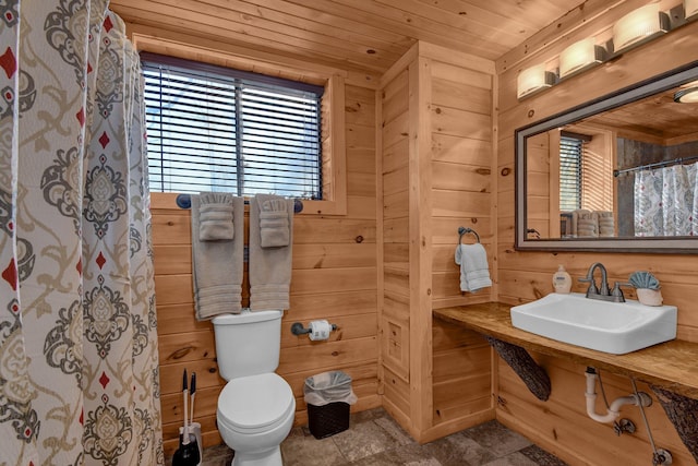 14485 Jack Run Rd, Rockbridge, OH 43149 - full bathroom with a sink, toilet, wood ceiling, wood walls, and a shower with curtain
