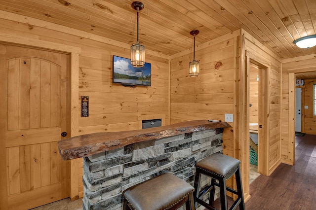 14485 Jack Run Rd, Rockbridge, OH 43149 - indoor dry bar with wood ceiling, wood walls, wood finished floors, and hanging light fixtures