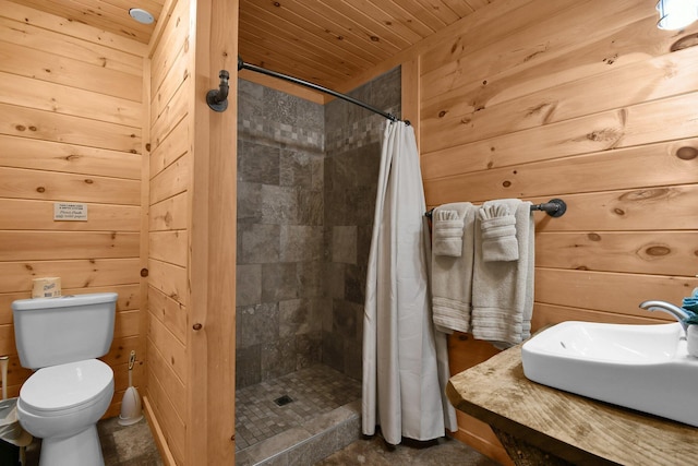 14485 Jack Run Rd, Rockbridge, OH 43149 - bathroom featuring toilet, a stall shower, wood walls, a sink, and wood ceiling
