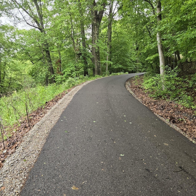 14485 Jack Run Rd, Rockbridge, OH 43149 - view of street featuring a forest view