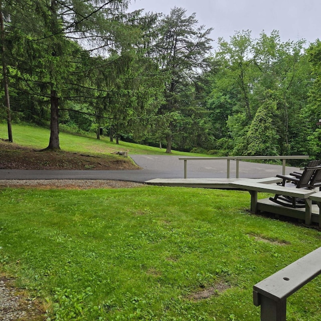 14485 Jack Run Rd, Rockbridge, OH 43149 - view of property's community with a lawn