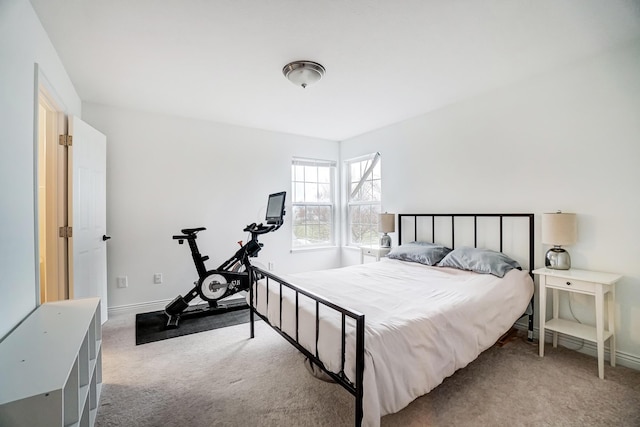 bedroom with carpet flooring