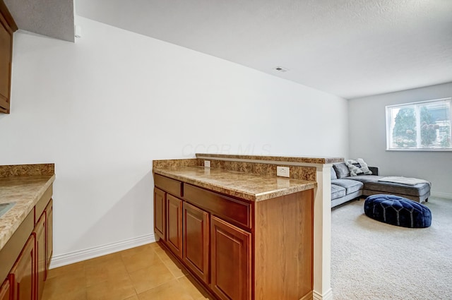 kitchen with kitchen peninsula and light colored carpet