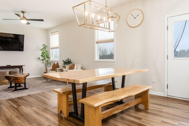 dining room with hardwood / wood-style flooring and ceiling fan