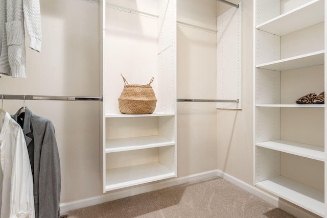 spacious closet with carpet