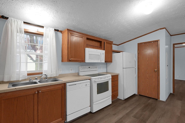 kitchen featuring ornamental molding, a textured ceiling, white appliances, dark wood-type flooring, and sink