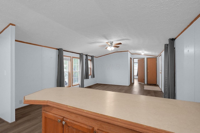 kitchen with ornamental molding, a textured ceiling, vaulted ceiling, ceiling fan, and dark hardwood / wood-style floors