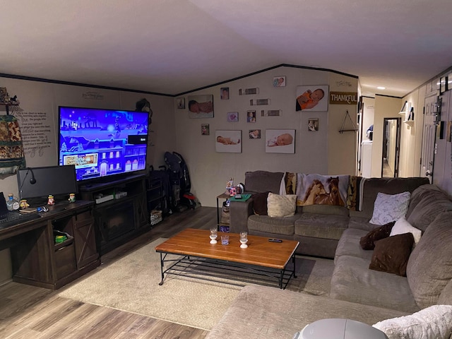 living room featuring crown molding, lofted ceiling, and light wood-type flooring