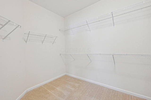 walk in closet with carpet