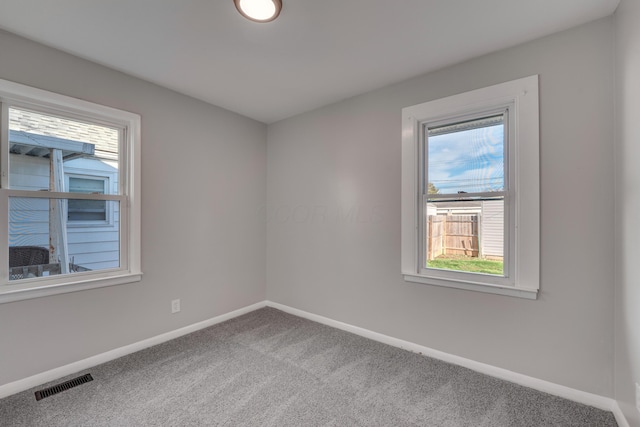 carpeted spare room with a wealth of natural light