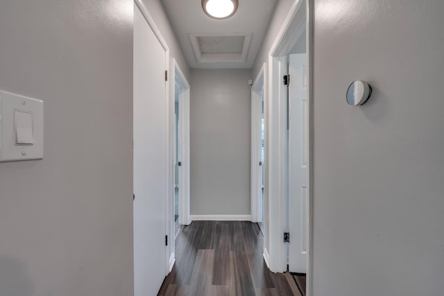 corridor with dark wood-type flooring