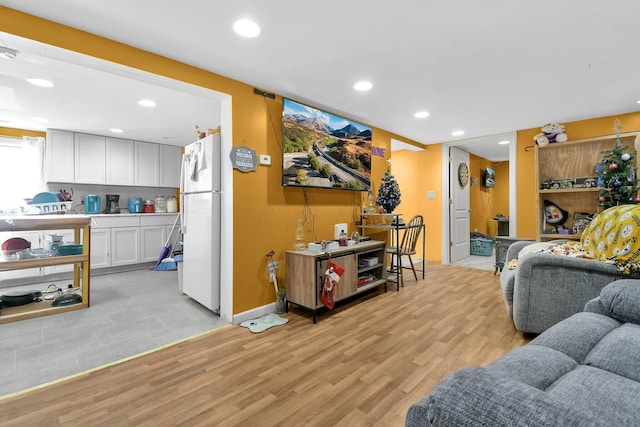 living room with light wood-type flooring