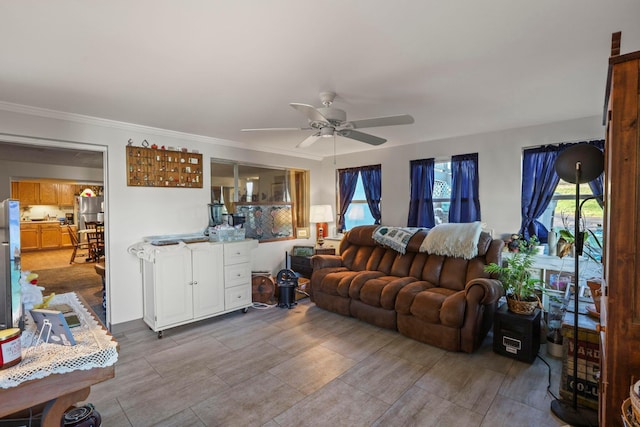 living room with ceiling fan and ornamental molding