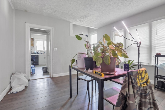 dining room with hardwood / wood-style flooring and a textured ceiling