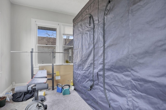 workout area with carpet and a textured ceiling