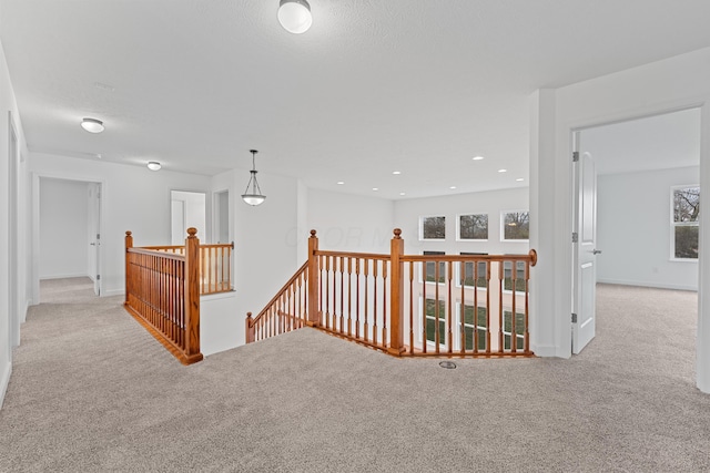 hallway featuring a wealth of natural light and light carpet