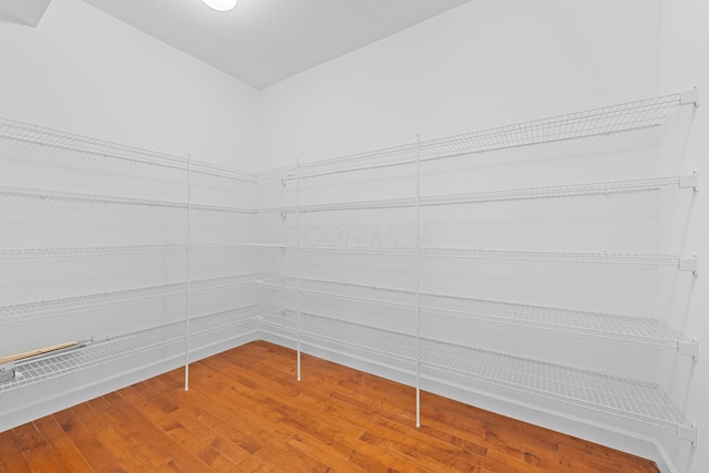 spacious closet featuring hardwood / wood-style flooring