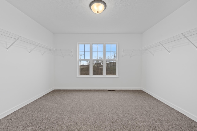 walk in closet featuring carpet flooring