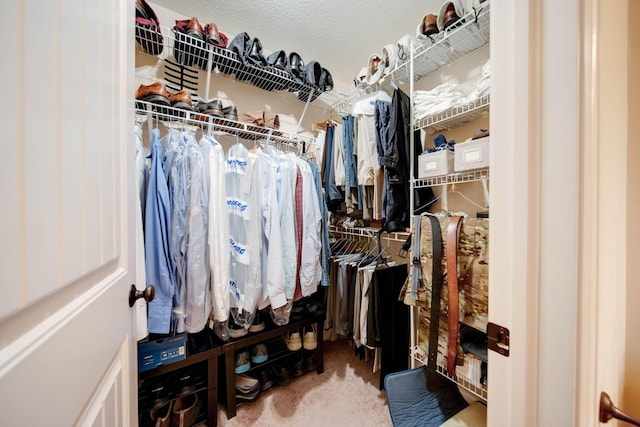 walk in closet featuring carpet floors