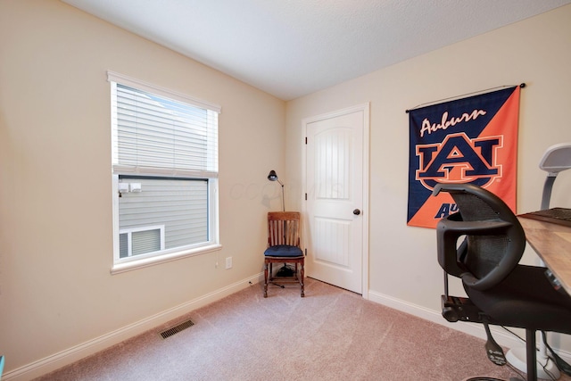 interior space with light colored carpet