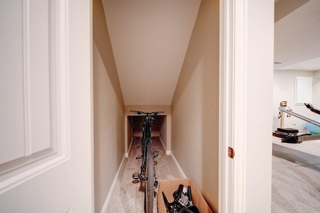 interior space featuring carpet floors